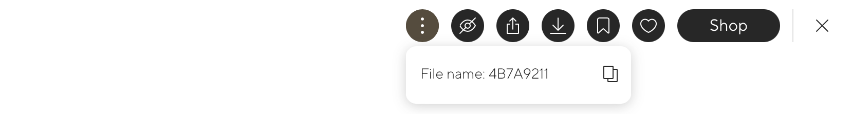 An open photo with the three-dot menu showing the file name and a copy button